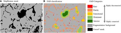 Fragmentation-Driven Divergent Trends in Burned Area in Amazonia and Cerrado